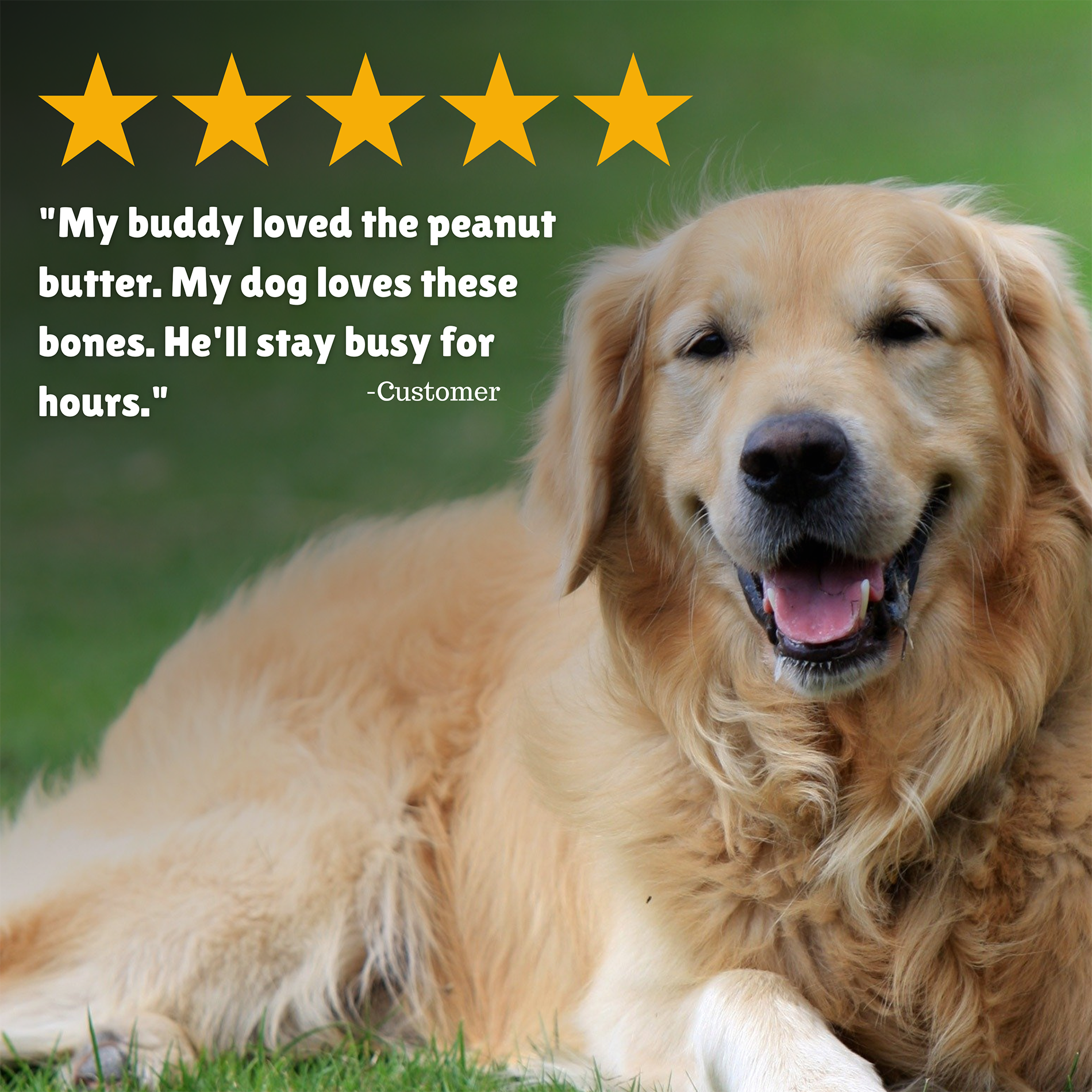 Peanut Butter Basted Beefhide: Retriever