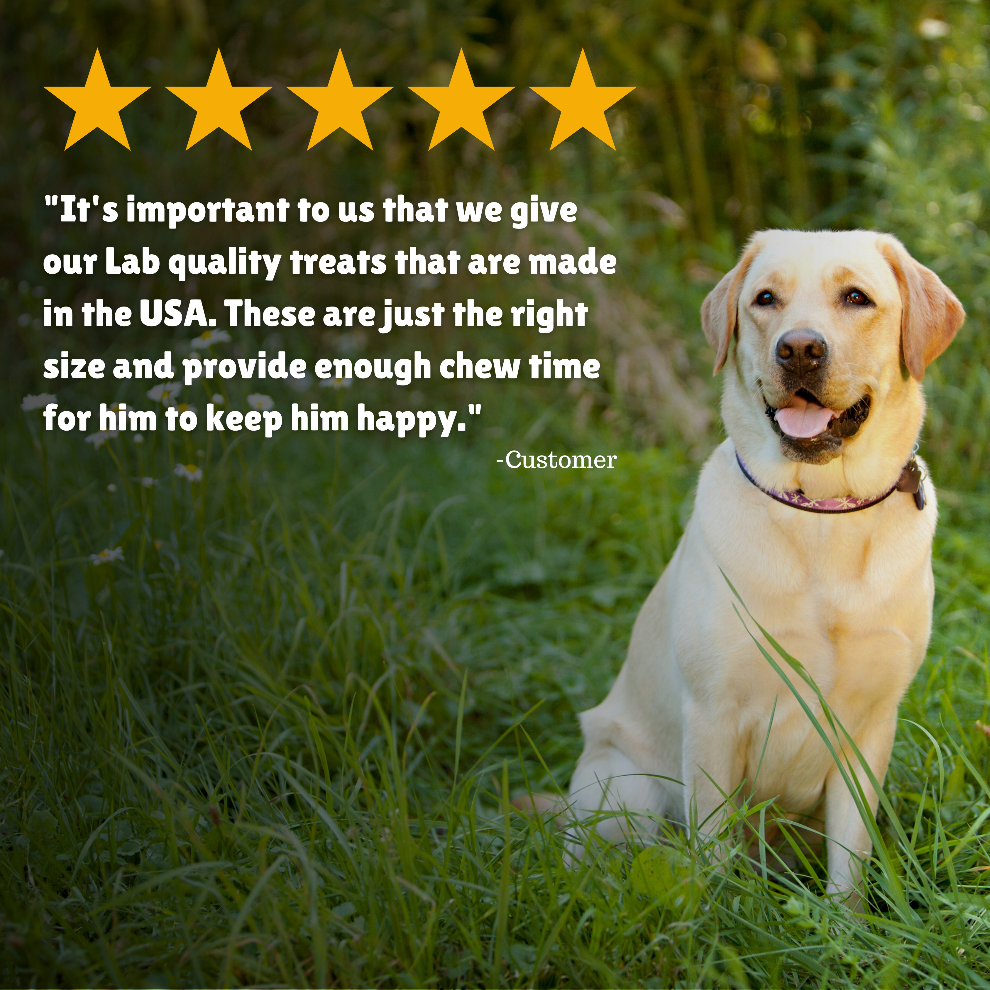 Reviews + Customer Testimony + Treats + Long lasting + Highly recommend  