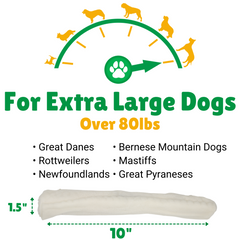 Extra Large Dogs + Over 80lbs (Pounds) + Great Danes + Bernese Mountain Dogs + Mastiffs + Newfoundlands + Great Pyraneses + Rottweilers 
