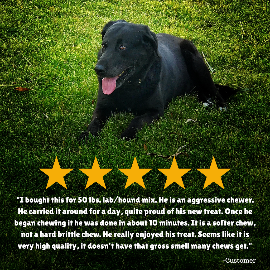 Reviews + Customer Testimony + aggressive chewer + new treat + softer chew + high quality 