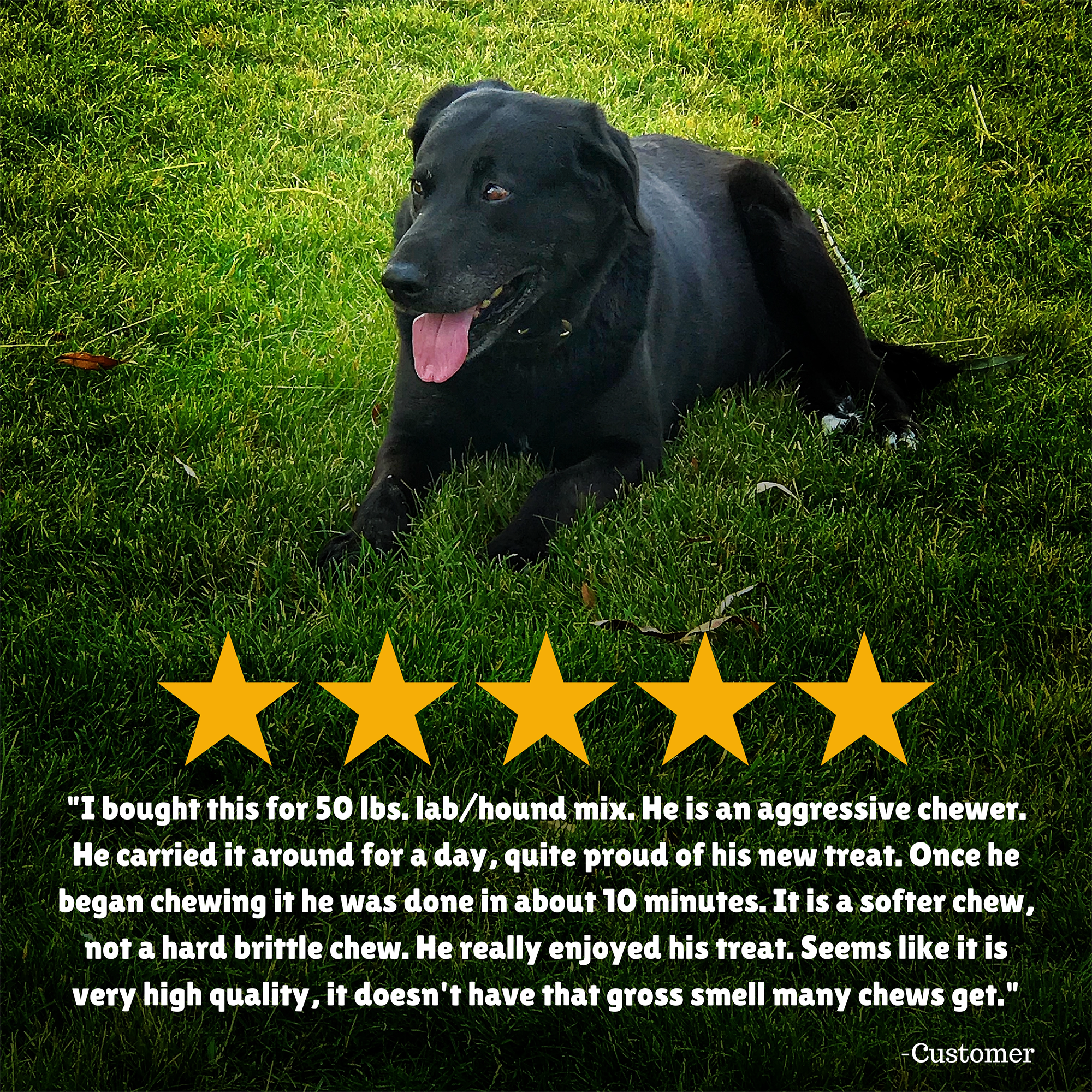 Reviews + Customer Testimony + aggressive chewer + new treat + softer chew + high quality 