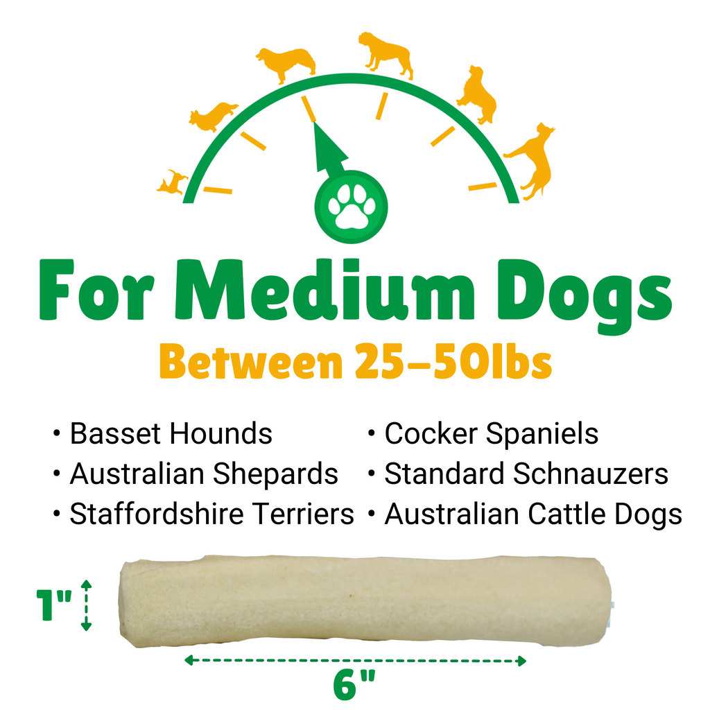 Medium Dogs + 25-50lbs (Pounds) + Basset Hounds + Cocker Spaniels + Australian Shepard's + Staffordshire Terriers+ Standard Schnauzers + Australian Cattle Dogs
