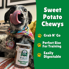 Sweet Potato Chewys