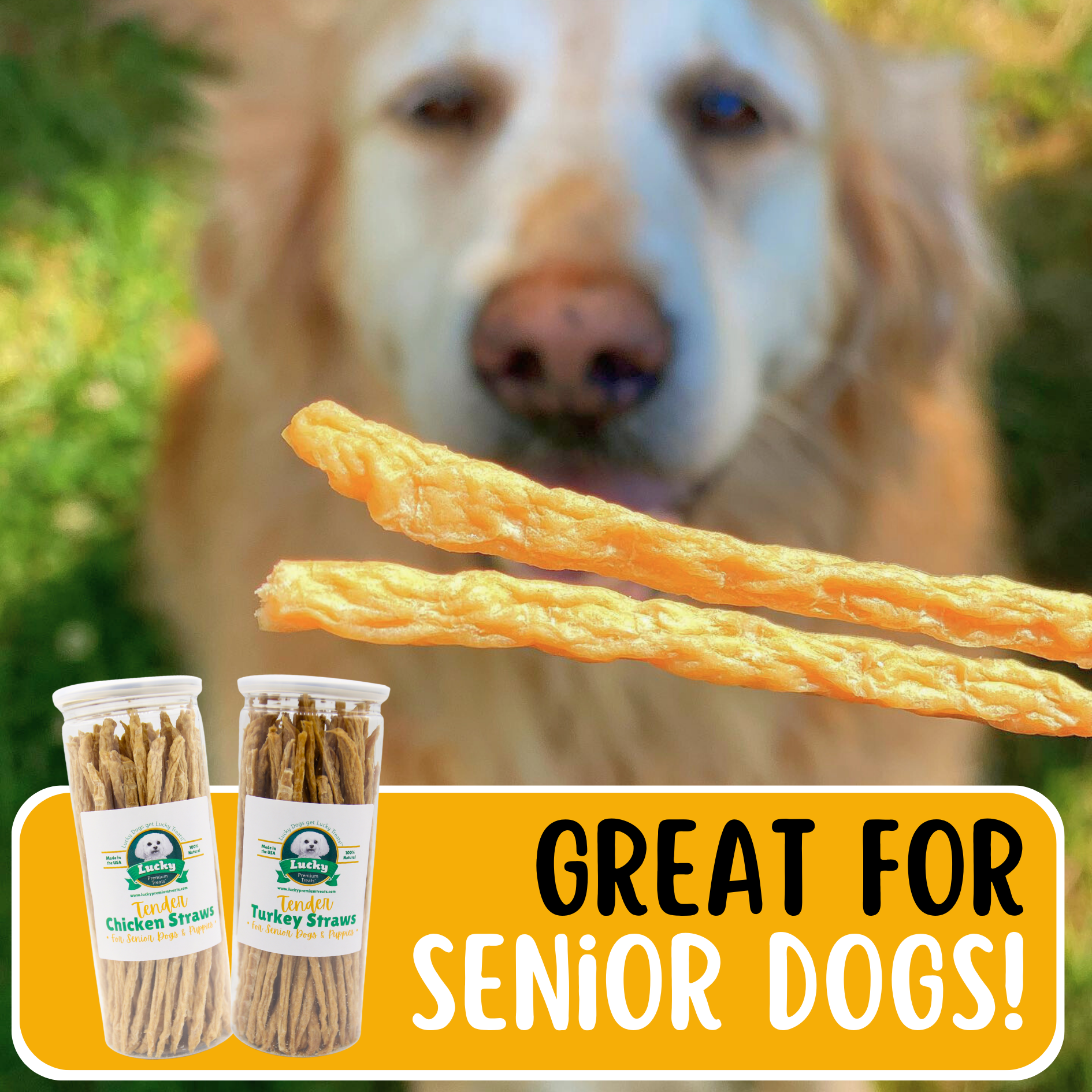 Tender Turkey Straws For Seniors & Puppies