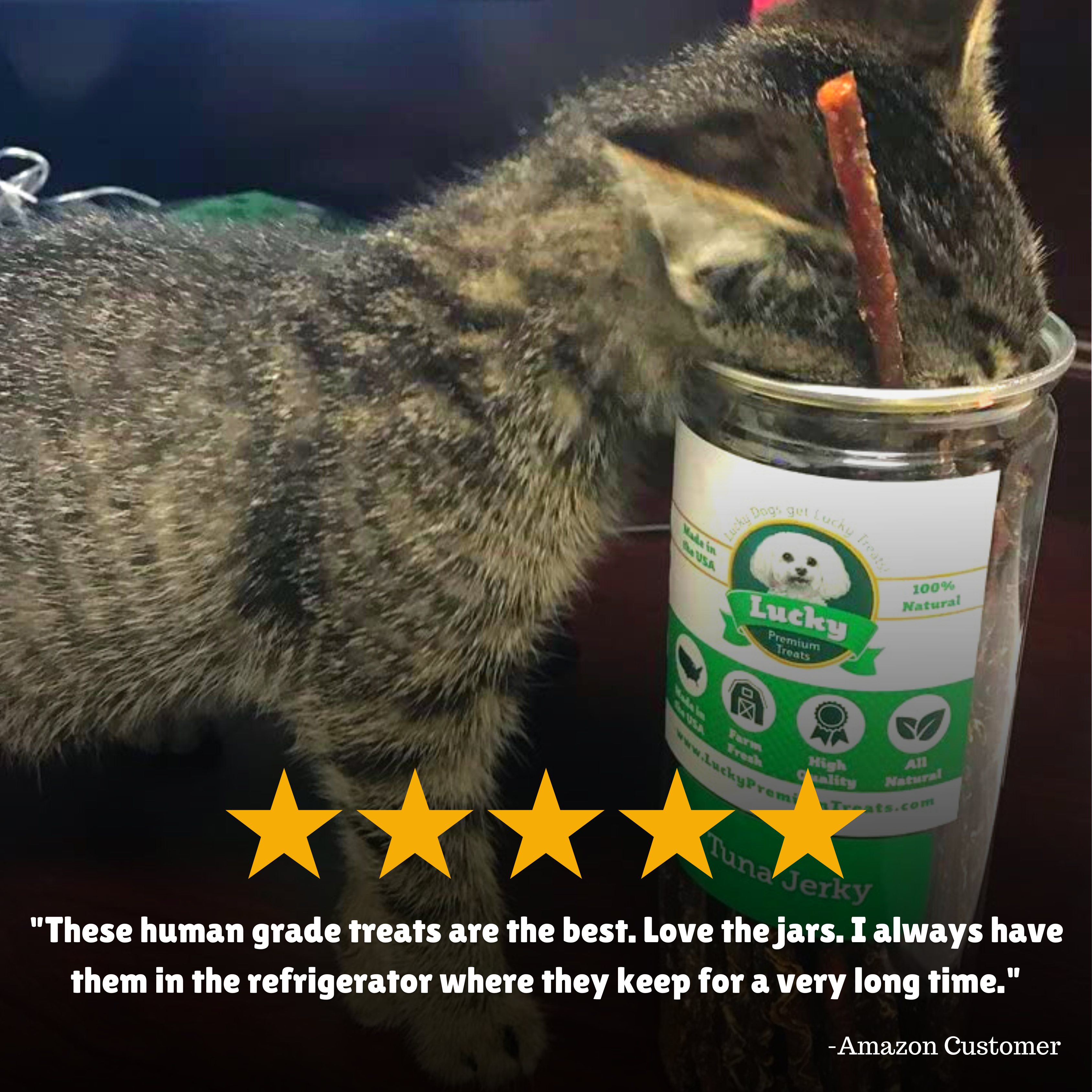 Reviews + Customer Testimony + Treats + Long lasting + Highly recommend  