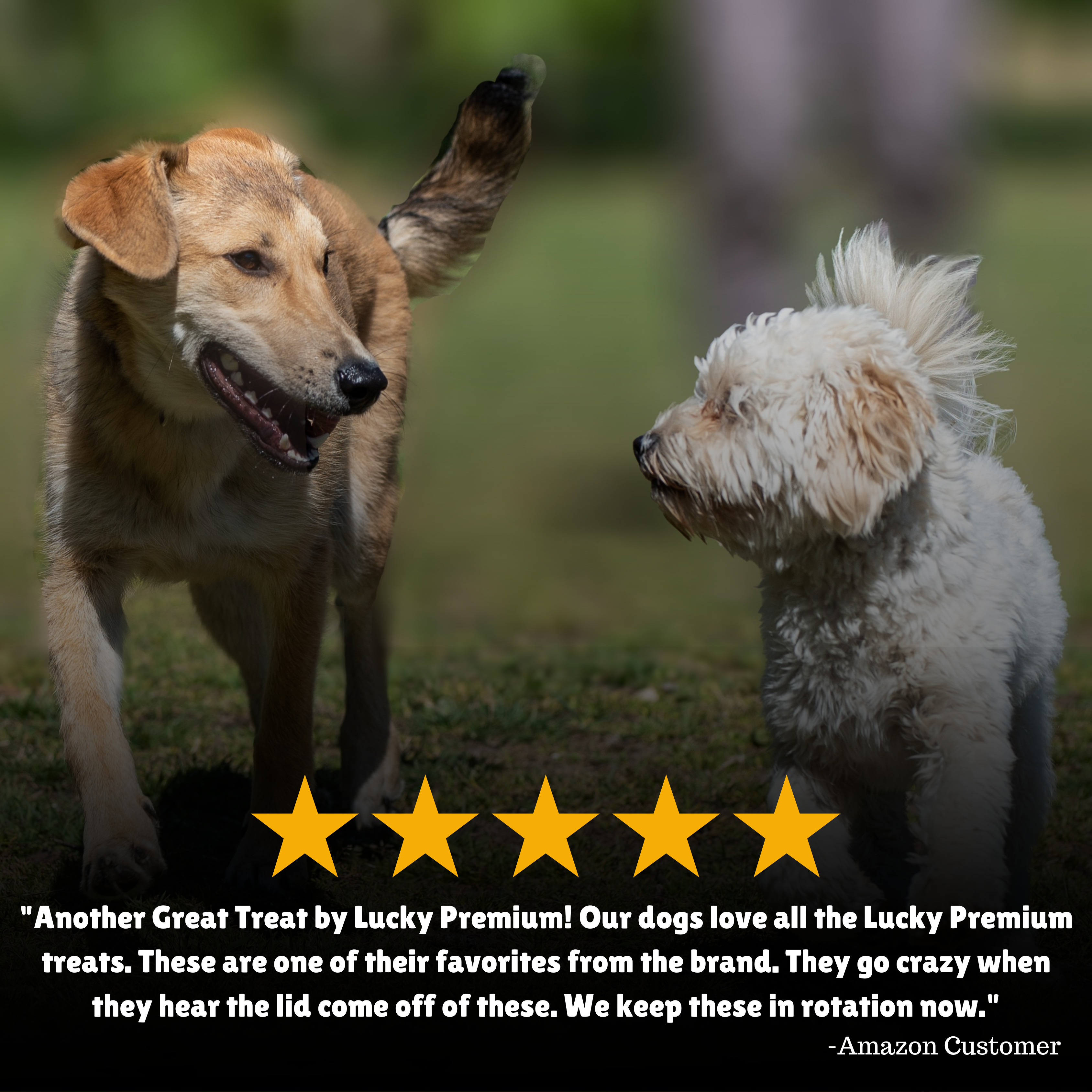  Reviews + Customer Testimony + Treats + Long lasting + Highly recommend  