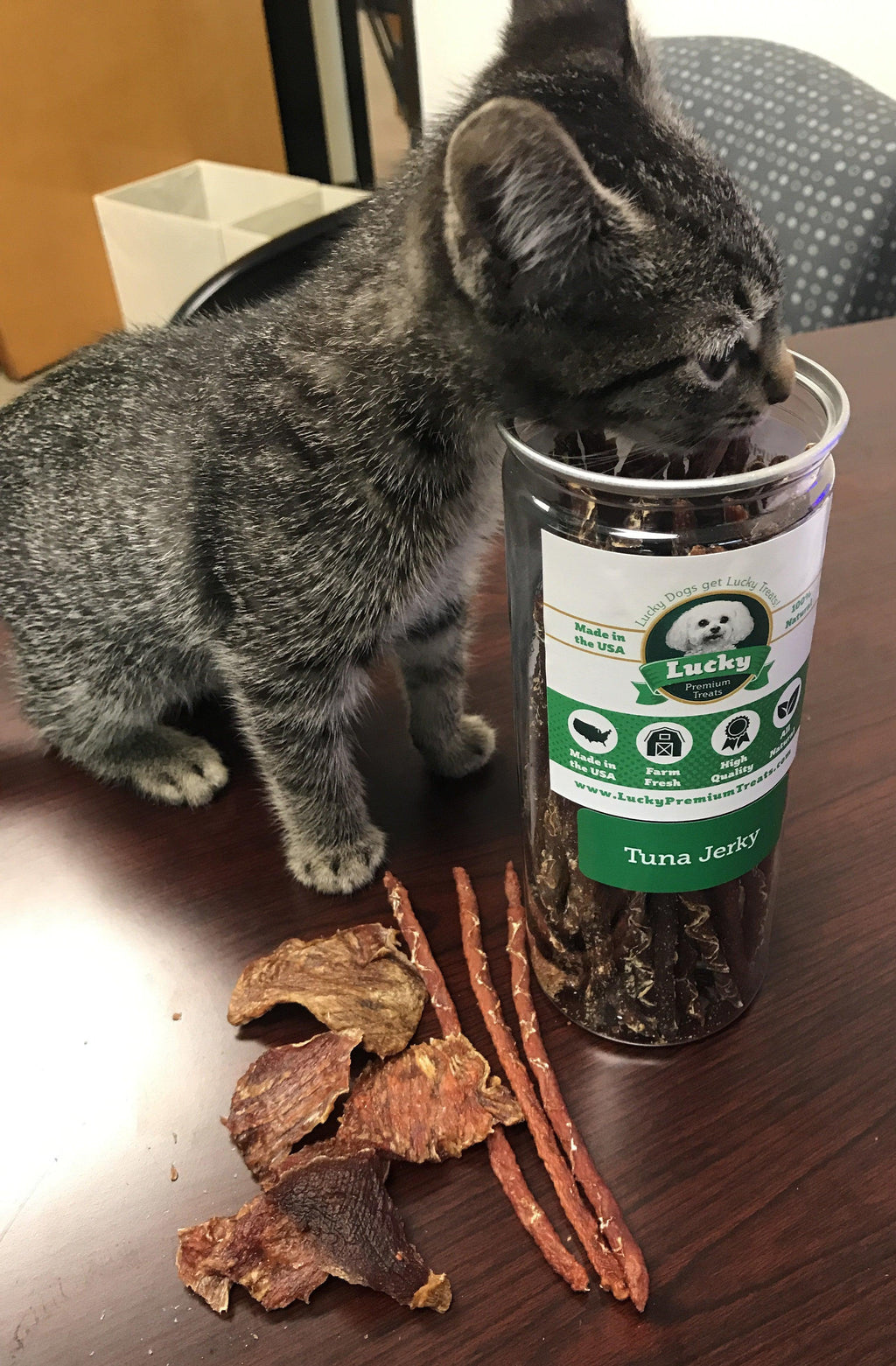 Lucky Premium Treats Tuna Jerky for Dogs and Cats, Cat Eating