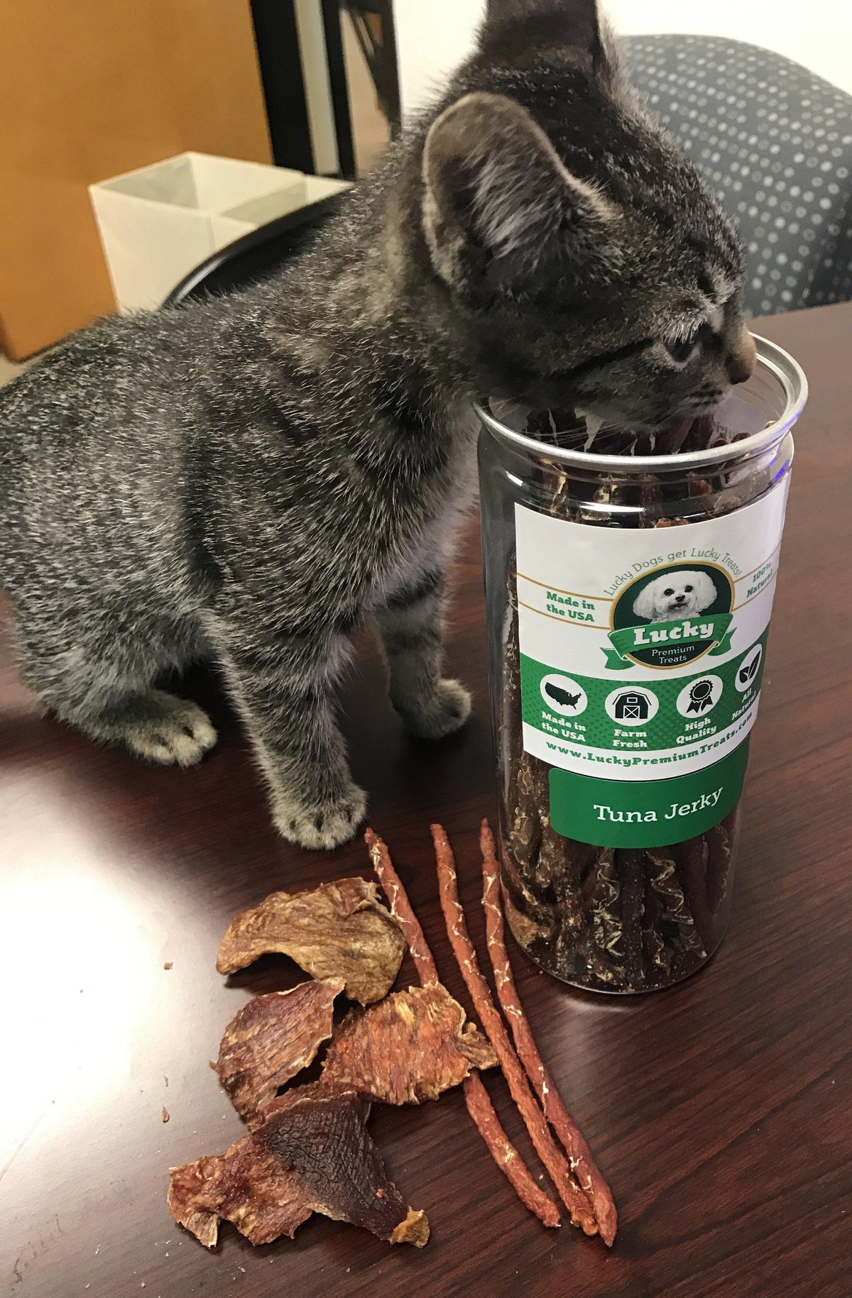 Lucky Premium Treats Tuna Jerky for Dogs and Cats, Cat Eating